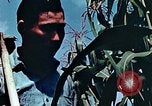 Image of relocation employment United States USA, 1943, second 58 stock footage video 65675026112