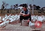 Immagine di Occupazione di rilocazione California United States USA, 1943, secondo 24 filmato di repertorio 65675026113