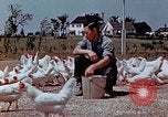 Immagine di Occupazione di rilocazione California United States USA, 1943, secondo 25 filmato di repertorio 65675026113