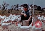 Immagine di Occupazione di rilocazione California United States USA, 1943, secondo 29 filmato di repertorio 65675026113