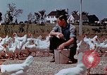 Immagine di Occupazione di rilocazione California United States USA, 1943, secondo 30 filmato di repertorio 65675026113