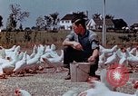 Immagine di Occupazione di rilocazione California United States USA, 1943, secondo 31 filmato di repertorio 65675026113