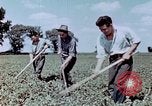 Immagine di Occupazione di rilocazione California United States USA, 1943, secondo 35 filmato di repertorio 65675026113