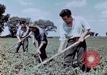 Immagine di Occupazione di rilocazione California United States USA, 1943, secondo 36 filmato di repertorio 65675026113