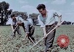 Immagine di Occupazione di rilocazione California United States USA, 1943, secondo 37 filmato di repertorio 65675026113