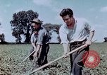 Immagine di Occupazione di rilocazione California United States USA, 1943, secondo 39 filmato di repertorio 65675026113