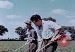 Immagine di Occupazione di rilocazione California United States USA, 1943, secondo 42 filmato di repertorio 65675026113