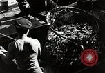 Standbild Männer japanischer Abstammung die angeln United States USA, 1942, aus Sekunde 13 historischem Filmmaterial Videoclip 65675026120