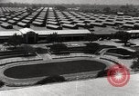 Standbild Kriegsverlegung des Santa Anita Assembly Center California United States USA, 1942, aus Sekunde 40 historischem Filmmaterial Videoclip 65675026123