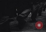 Image of Japanese American recruits Mississippi United States USA, 1942, second 25 stock footage video 65675026130