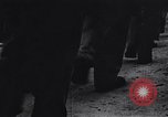 Image of Japanese American recruits Mississippi United States USA, 1942, second 29 stock footage video 65675026130