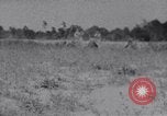 Image of Japanese American recruits Mississippi United States USA, 1942, second 29 stock footage video 65675026131