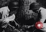 Image of Japanese American recruits Mississippi United States USA, 1942, second 1 stock footage video 65675026133