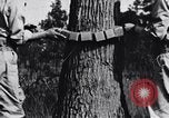 Image of Japanese American recruits Mississippi United States USA, 1942, second 8 stock footage video 65675026133