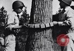 Image of Japanese American recruits Mississippi United States USA, 1942, second 9 stock footage video 65675026133