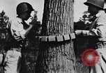 Image of Japanese American recruits Mississippi United States USA, 1942, second 11 stock footage video 65675026133