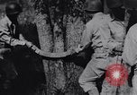 Image of Japanese American recruits Mississippi United States USA, 1942, second 13 stock footage video 65675026133