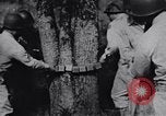 Image of Japanese American recruits Mississippi United States USA, 1942, second 15 stock footage video 65675026133