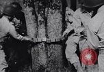 Image of Japanese American recruits Mississippi United States USA, 1942, second 16 stock footage video 65675026133