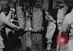 Image of Japanese American recruits Mississippi United States USA, 1942, second 18 stock footage video 65675026133