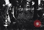 Image of Japanese American recruits Mississippi United States USA, 1942, second 25 stock footage video 65675026133