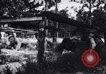 Image of Japanese American recruits Mississippi United States USA, 1942, second 25 stock footage video 65675026135