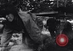 Image of Japanese American recruits Mississippi United States USA, 1942, second 33 stock footage video 65675026135