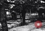 Image of Japanese American recruits Mississippi United States USA, 1942, second 43 stock footage video 65675026135