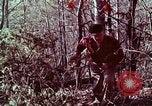 Image of beer wine and alcoholic spirits production and regulation in America United States USA, 1953, second 5 stock footage video 65675026148