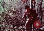 Image of beer wine and alcoholic spirits production and regulation in America United States USA, 1953, second 6 stock footage video 65675026148