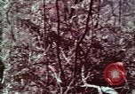 Image of beer wine and alcoholic spirits production and regulation in America United States USA, 1953, second 8 stock footage video 65675026148