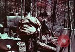 Image of beer wine and alcoholic spirits production and regulation in America United States USA, 1953, second 16 stock footage video 65675026148