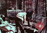 Image of beer wine and alcoholic spirits production and regulation in America United States USA, 1953, second 17 stock footage video 65675026148