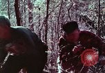 Image of beer wine and alcoholic spirits production and regulation in America United States USA, 1953, second 22 stock footage video 65675026148
