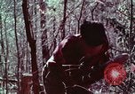 Image of beer wine and alcoholic spirits production and regulation in America United States USA, 1953, second 23 stock footage video 65675026148