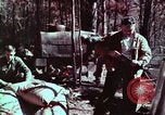 Image of beer wine and alcoholic spirits production and regulation in America United States USA, 1953, second 27 stock footage video 65675026148