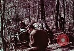 Image of beer wine and alcoholic spirits production and regulation in America United States USA, 1953, second 31 stock footage video 65675026148