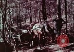 Image of beer wine and alcoholic spirits production and regulation in America United States USA, 1953, second 32 stock footage video 65675026148