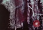 Image of beer wine and alcoholic spirits production and regulation in America United States USA, 1953, second 35 stock footage video 65675026148