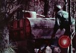 Image of beer wine and alcoholic spirits production and regulation in America United States USA, 1953, second 36 stock footage video 65675026148