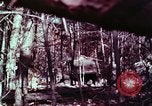 Image of beer wine and alcoholic spirits production and regulation in America United States USA, 1953, second 47 stock footage video 65675026148