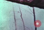 Image of beer wine and alcoholic spirits production and regulation in America United States USA, 1953, second 50 stock footage video 65675026148