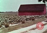 Image of alcohol taxes United States USA, 1953, second 48 stock footage video 65675026149