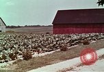 Image of alcohol taxes United States USA, 1953, second 49 stock footage video 65675026149