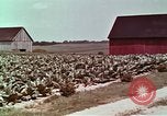 Image of alcohol taxes United States USA, 1953, second 50 stock footage video 65675026149