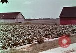 Image of alcohol taxes United States USA, 1953, second 51 stock footage video 65675026149