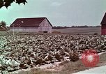 Image of alcohol taxes United States USA, 1953, second 52 stock footage video 65675026149