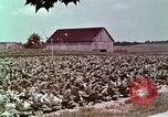 Image of alcohol taxes United States USA, 1953, second 53 stock footage video 65675026149
