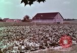 Image of alcohol taxes United States USA, 1953, second 54 stock footage video 65675026149