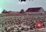 Image of alcohol taxes United States USA, 1953, second 55 stock footage video 65675026149